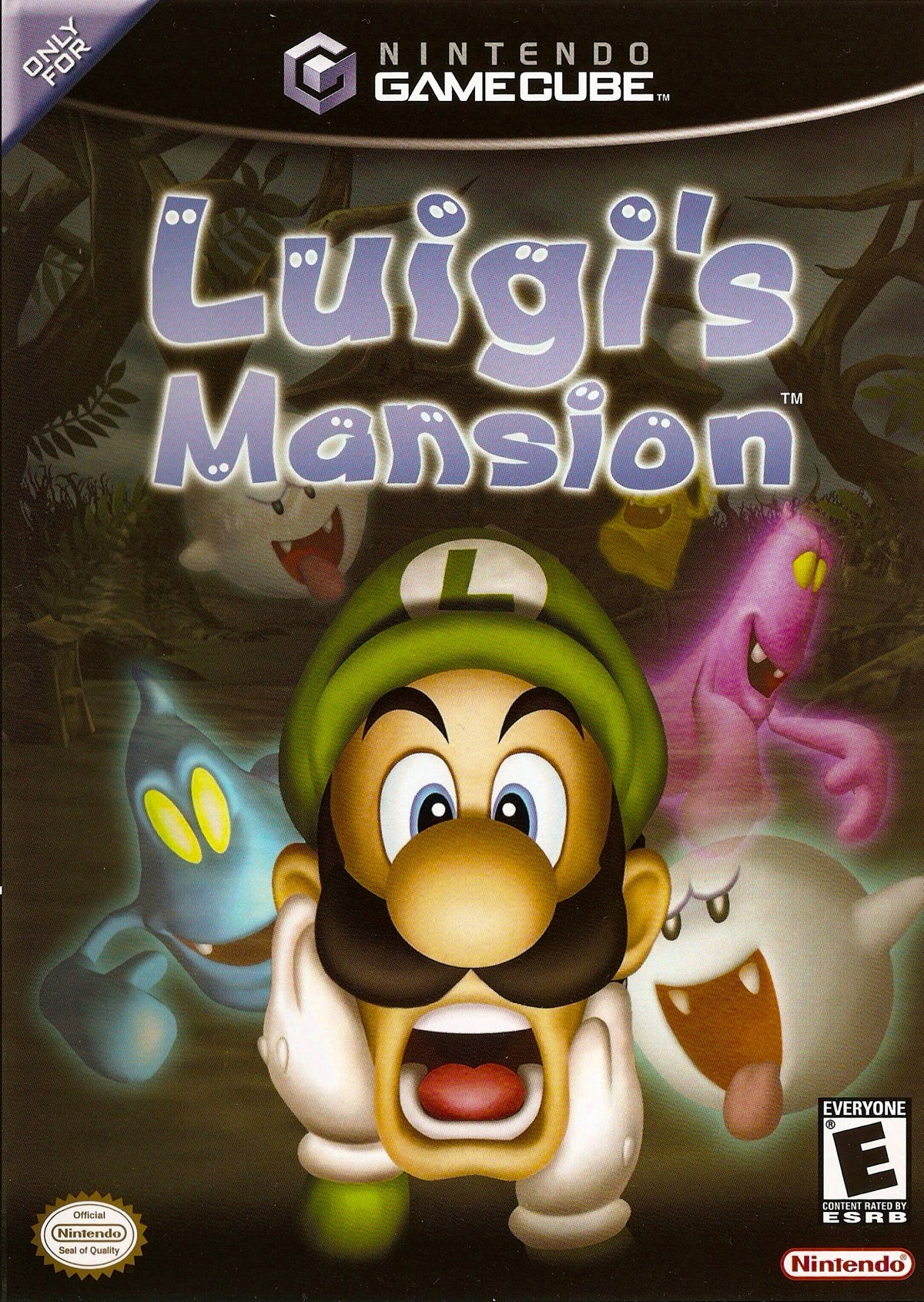 Luigis Mansion