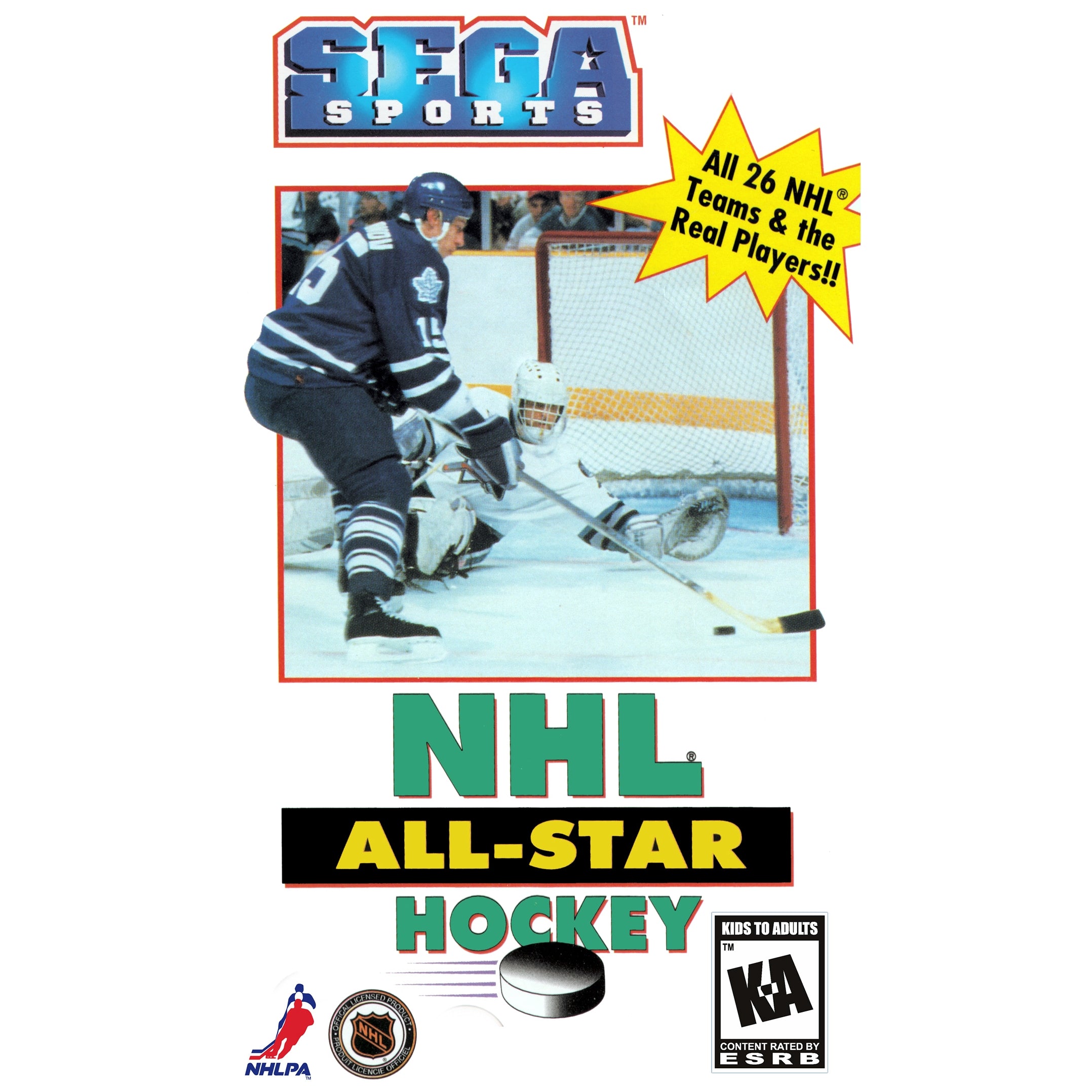 NHL All-Star Hockey For Saturn